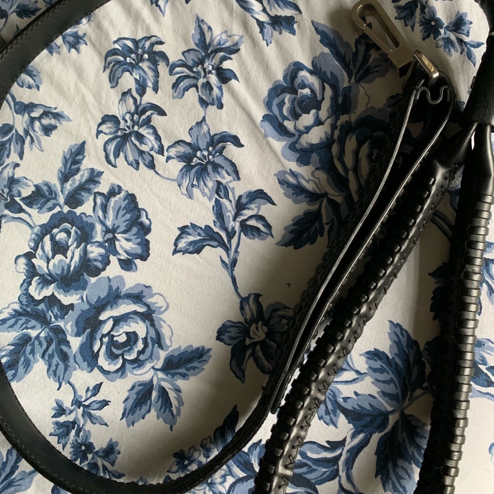 Gucci dog leash
